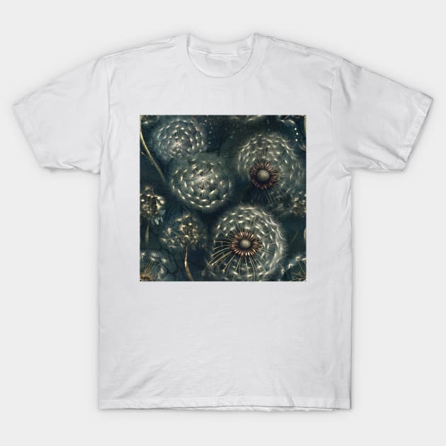 Dandelion Dreams T-Shirt by RockyBadlands